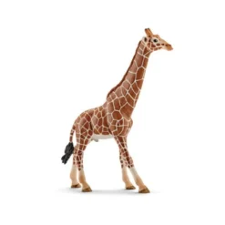Schleich - Giraffe Male