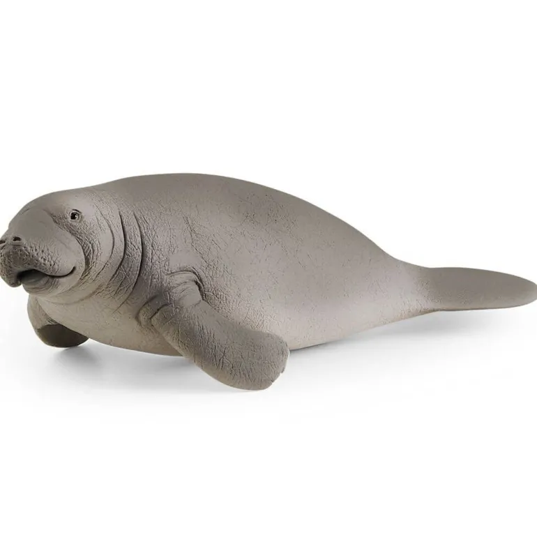 Schleich - Manatee