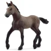 Schleich - Peruvian Paso Foal