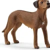 Schleich - Rhodesian Ridgeback