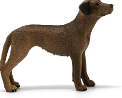 Schleich - Rhodesian Ridgeback
