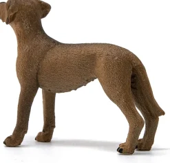 Schleich - Rhodesian Ridgeback