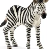 Schleich - Zebra Foal