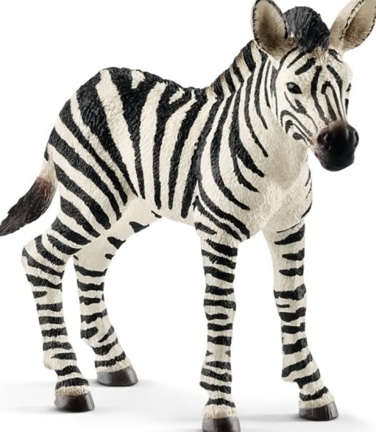 Schleich - Zebra Foal