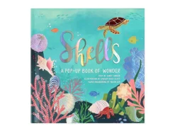 Shells Pop Up Book of Wonder (Hard Back)