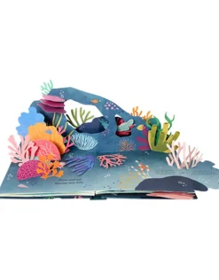 Shells Pop Up Book of Wonder (Hard Back)