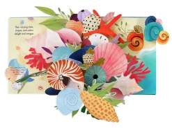 Shells Pop Up Book of Wonder (Hard Back)