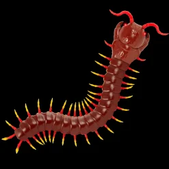 Terra - Remote Controlled Centipede - Giant Scolopendra
