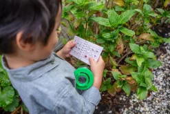 Tiger Tribe - Bug Spotter Kit