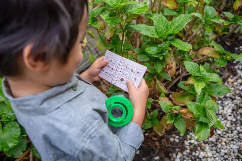 Tiger Tribe - Bug Spotter Kit