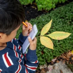 Tiger Tribe - Explorer Microscope Set